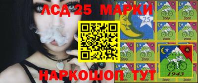 стафф Дмитров