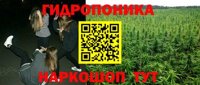 стафф Дмитров