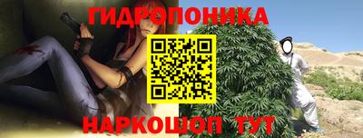 стафф Дмитров
