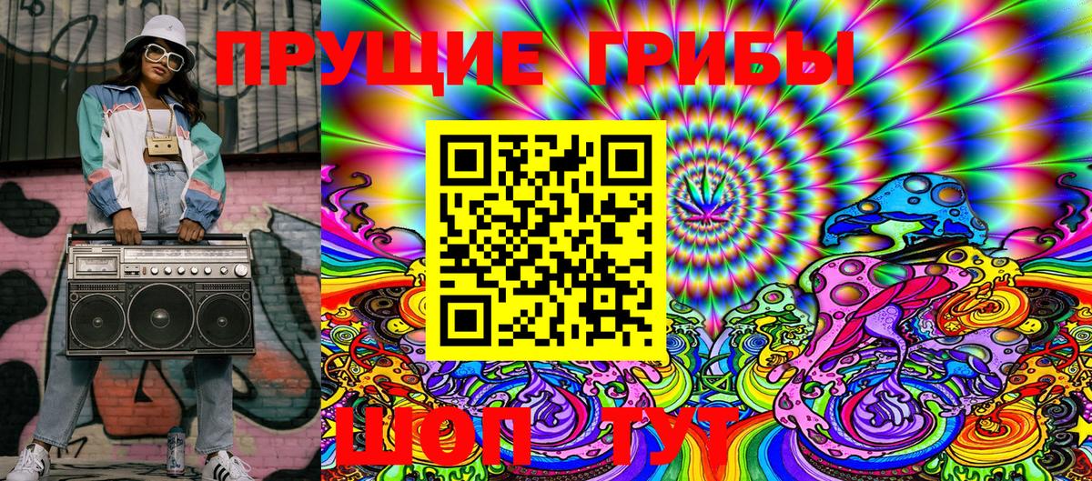 Псилоцибиновые грибы Cubensis  Вход с VPN  Светлоград 