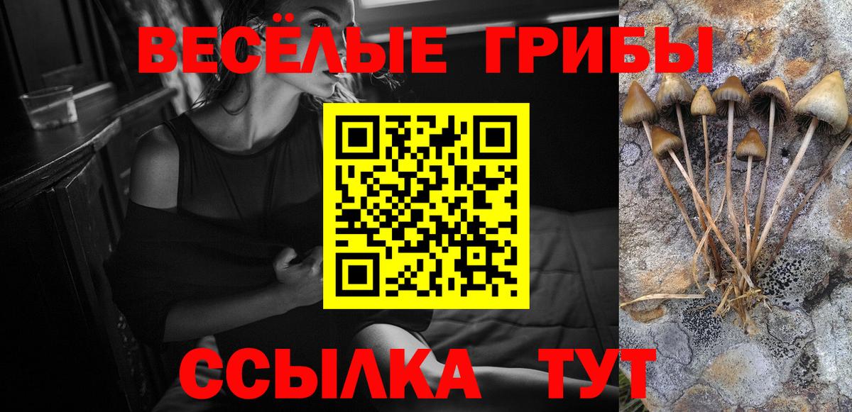 Псилоцибиновые грибы ЛСД Светлоград